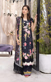 Asifa N Nabeel Daneen (GBW-07) Gulbagh Winter Collection