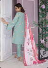 Winter Collection - Asifa & Nabeel - Gulbahar - GBW#12