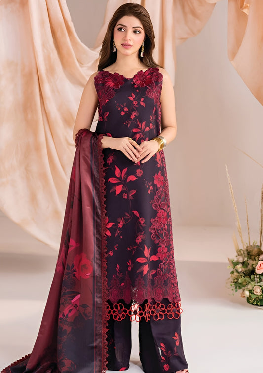 Winter Collection - Asifa & Nabeel - Meraki - Volume 01 - AM24#06 - AurumAsifa & Nabeel