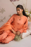 PORCELAIN MELODY-3PC CHIKANKARI SUIT