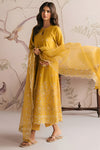 AMBER GLOW-3PC CHIKANKARI SUIT